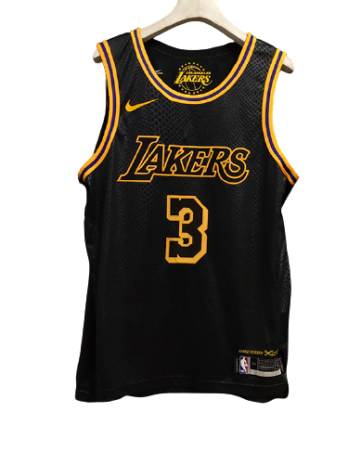 Anthony Davis #3 La Lakers Mamba City Edition AUTHENTIC