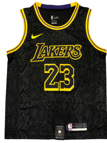 LeBron James #23 La Lakers Mamba City Edition SWINGMAN