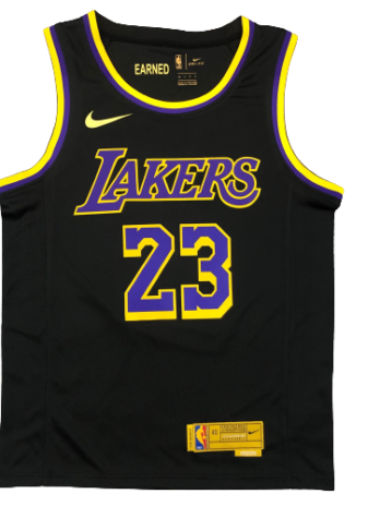LeBron James #23 La Lakers SWINGMAN