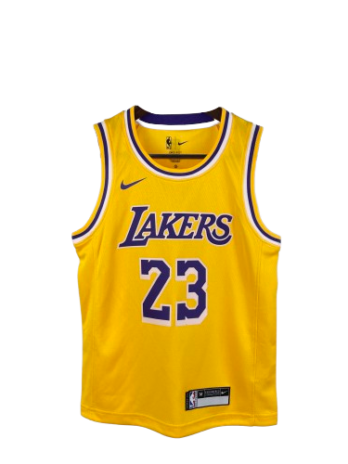 Dziecięca koszulka NBA 23 LeBron James LA Lakers SWINGMAN