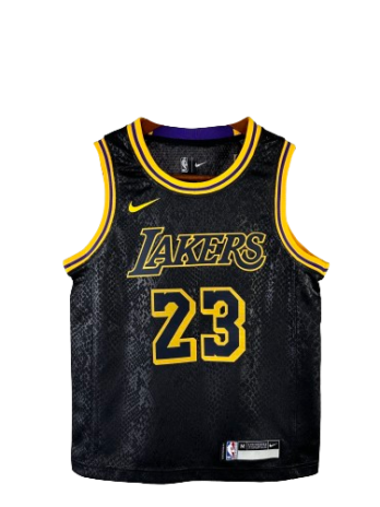 Dziecięca koszulka NBA 23 LeBron James LA Lakers Mamba City Edition SWINGMAN