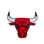 Logo Klubowe BULLS NBA