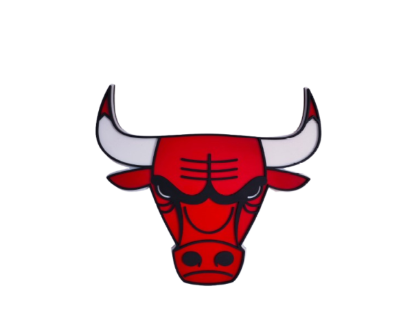 logo chicago bulls na sciane