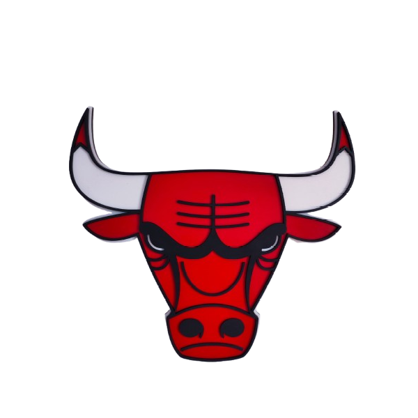 Logo Klubowe BULLS NBA